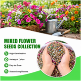 Mixed Flower Seeds Collection – 100 Variety Flower Seeds for Home Garden (Pack of 100)