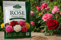Premium Rose Flower Seeds – Easy to Grow Garden Flower Seeds