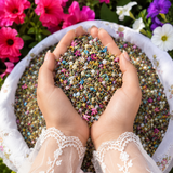 Mixed Flower Seeds Collection – 100 Variety Flower Seeds for Home Garden (Pack of 100)