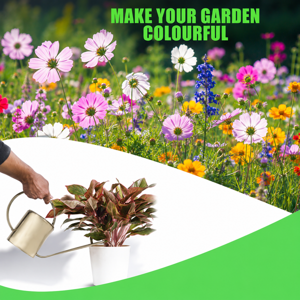 Mixed Flower Seeds Collection – 100 Variety Flower Seeds for Home Garden (Pack of 100)