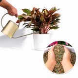 Mixed Flower Seeds Collection – 100 Variety Flower Seeds for Home Garden (Pack of 100)