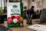 Premium Rose Flower Seeds – Easy to Grow Garden Flower Seeds