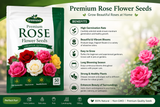 Premium Rose Flower Seeds – Easy to Grow Garden Flower Seeds